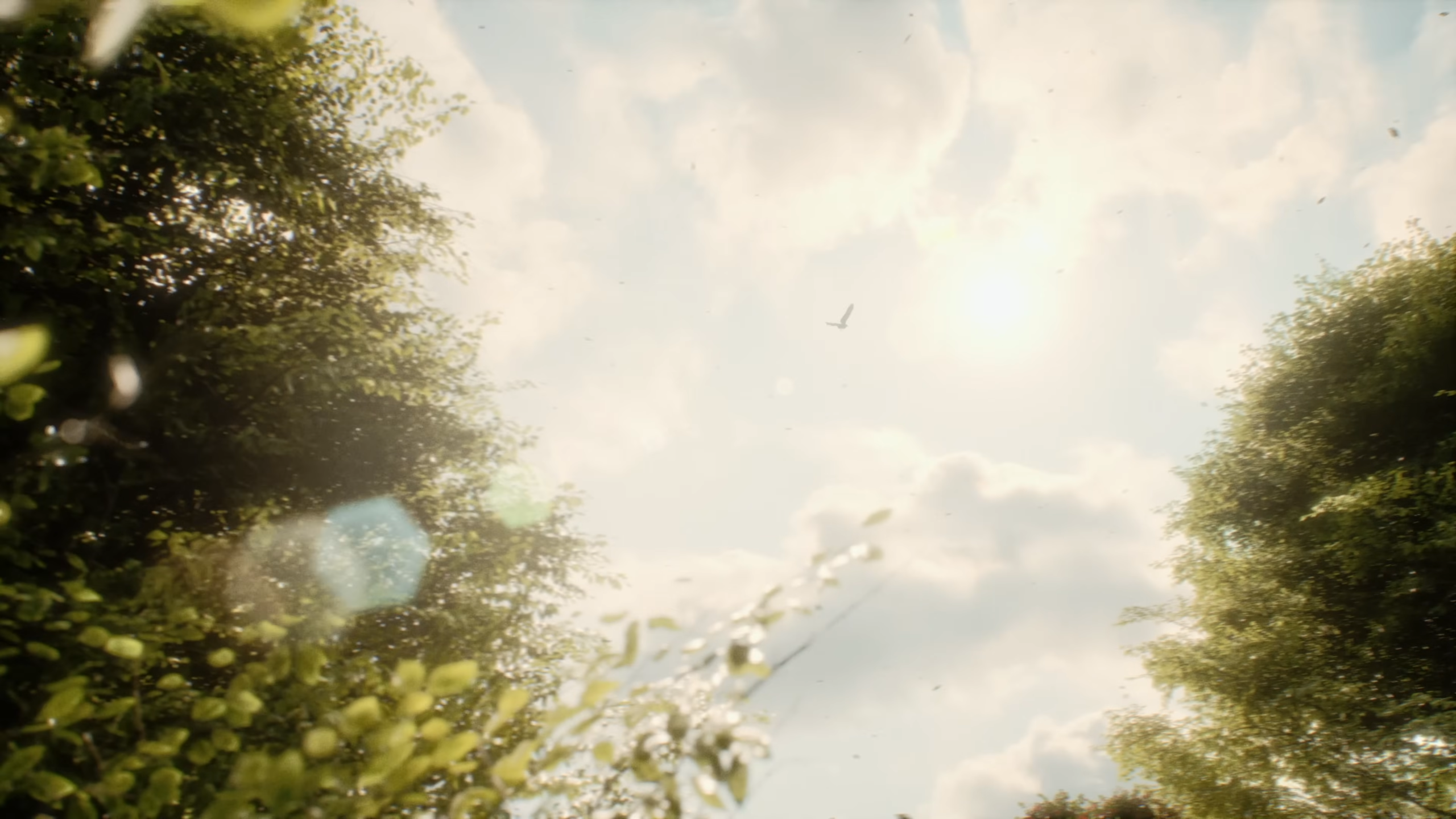 YFG PAVE - AURA AUS GOLD